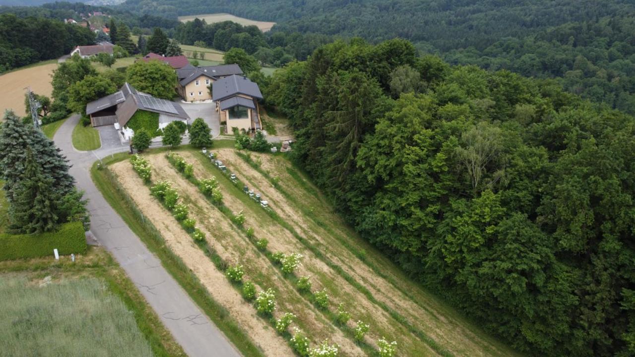 Beim Bergjosl Daire Kirchbach in Steiermark Dış mekan fotoğraf