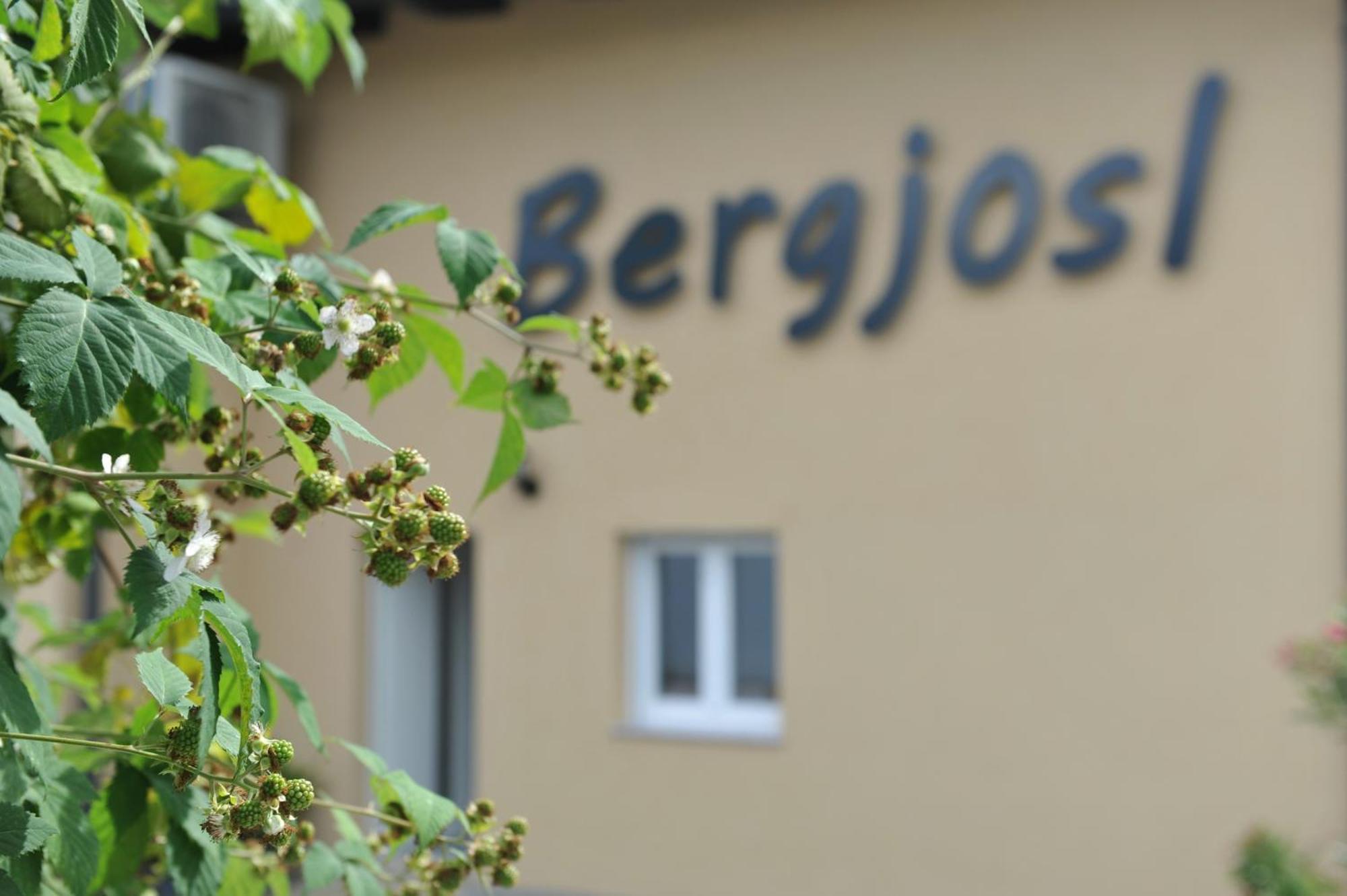 Beim Bergjosl Daire Kirchbach in Steiermark Dış mekan fotoğraf